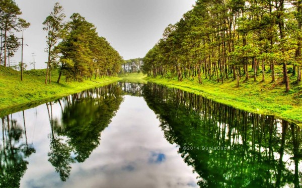 Fernando Carías muestra al mundo el lado paralelo de Honduras