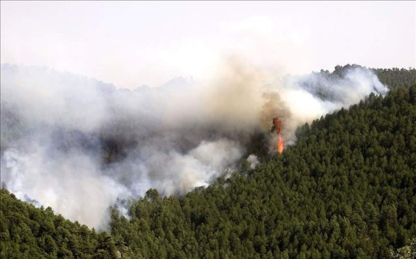 Incendios forestales devastan cerca de 38.000 hectáreas en Honduras