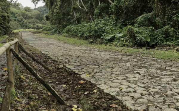 Piden a países centroamericanos aplicar visado regional