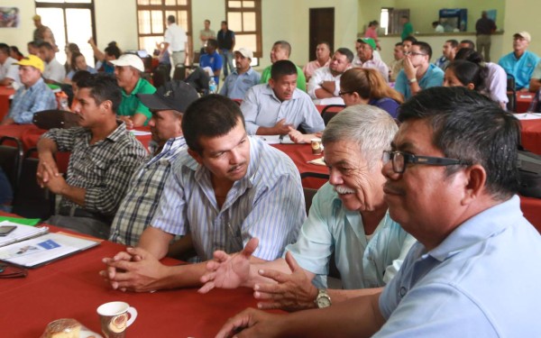 Proponen aumentar envíos de cacao al mercado japonés