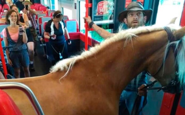 Jinete sube a un tren en Austria junto a su caballo