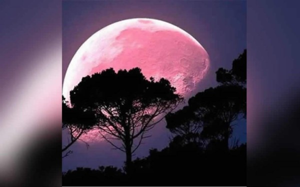 La Súper Luna Rosa de abril ¿cuándo y cómo verla?