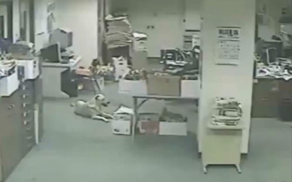 Video: Perro avisa sobre sismo justo antes que ocurra