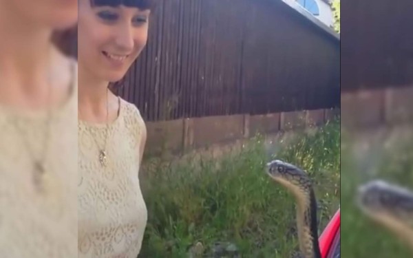 La mujer encantadora de serpientes