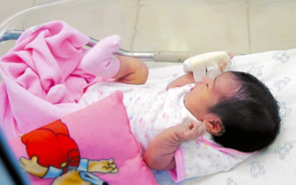 Muchos quieren adoptar a Reinita