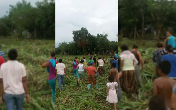 Desalojan a 200 personas que invadían terremos de la familia Rosenthal