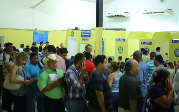 Más de 500 conductores llegan a Tránsito a solicitar la licencia