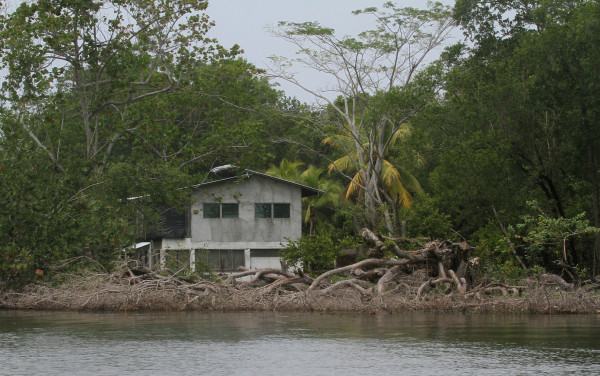 Luchan por salvar la reserva ecológica de Chachaguala