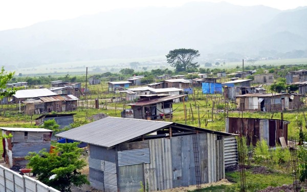Unas 10,000 hectáreas cultivables han sido invadidas en los últimos años