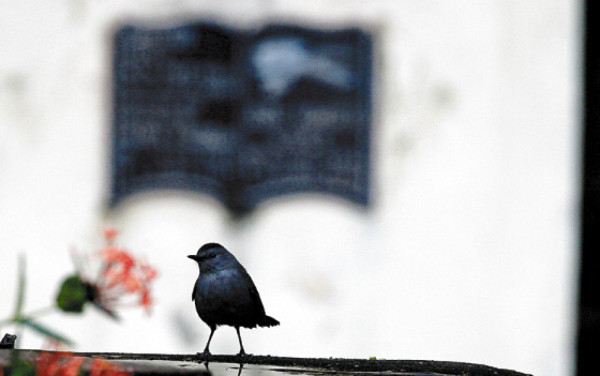 Don Gregorio, guardián de los difuntos