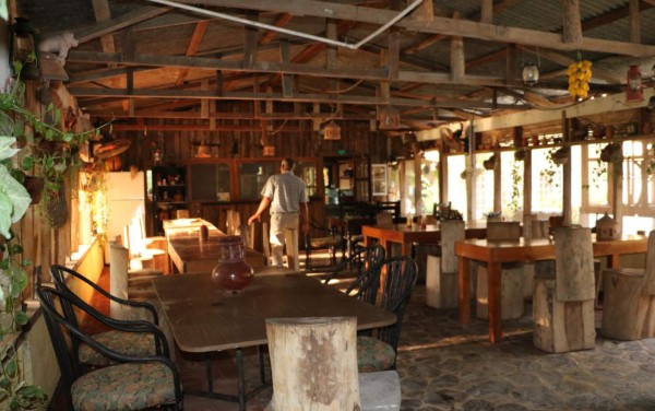 Naranjo Chino, un encanto natural en El Progreso