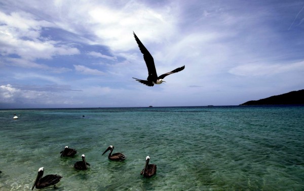 Roatán, lujo al natural