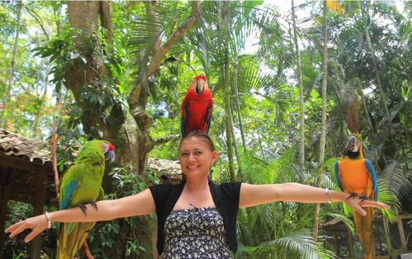 Crece población de ave símbolo de mayas en peligro de extinción en Honduras