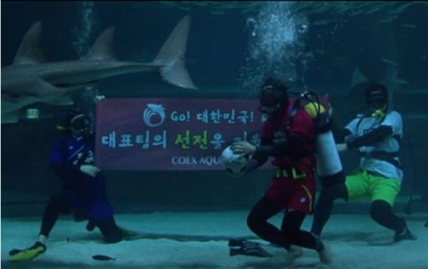 Buzos surcoreanos disputan partido de fútbol contra un cardumen de sardinas