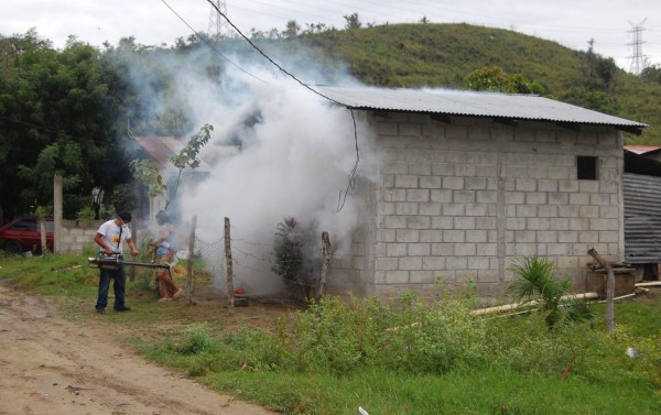 Más del 50% de casos del zika están en San Pedro Sula