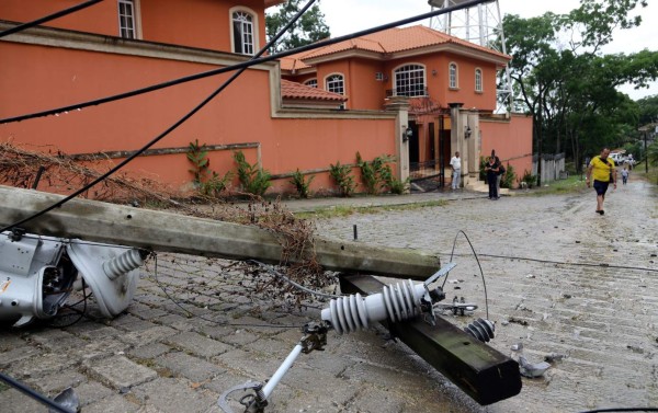 Corte de árbol deja sin energía eléctrica a más de 40,000 sampedranos