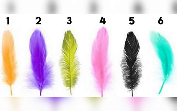 Elige una pluma y descubre tu personalidad oculta...