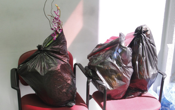 Así es el familión de Ada Muñoz en la alcaldía de San Pedro Sula