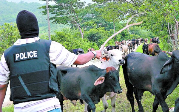 237 cuentas y 170 barcos han incautado a narcos en Honduras