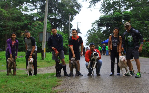 Familias disfrutan competencia canina en faldas de El Merendón