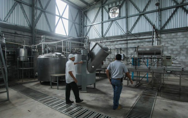 Cítricos generan 20,000 empleos en valle del Aguán