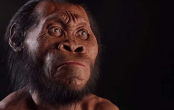 Descubren nueva especie humana en Sudáfrica