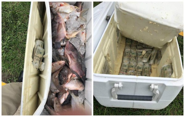 Encuentran más de $150 mil escondidos en hielera con pescados