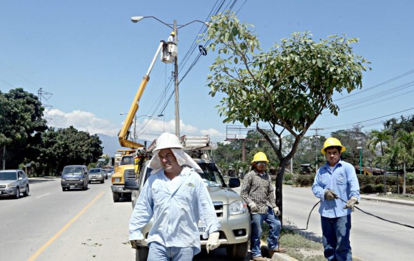 Seis firmas buscan supervisar operador de la estatal eléctrica