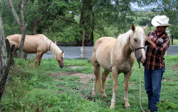 A caballo de Canadá a Brasil para demostrar que todavía hay gente buena