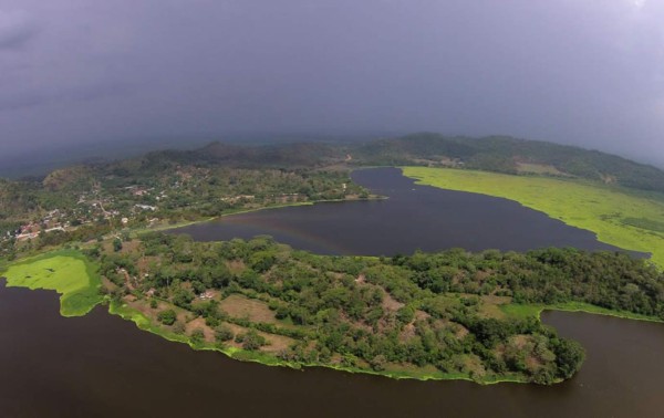 Ya no hay lechuga en el 10% de la laguna Jucutuma