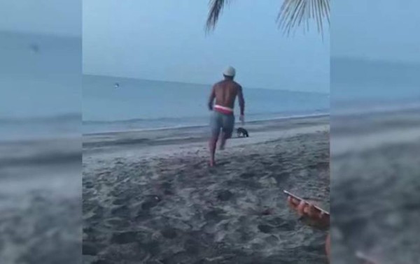 El karma castiga a un hombre que intentó patear un perro