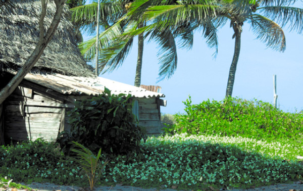 Tela, ciudad bañada por las aguas del Mar Caribe