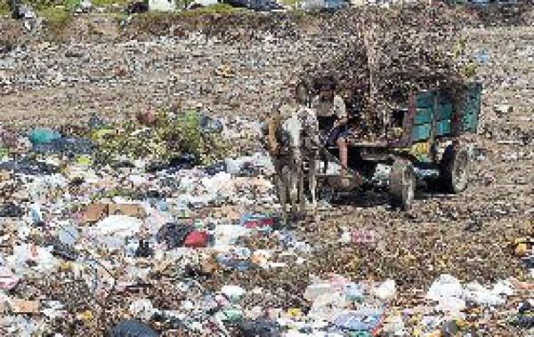 Ediles exigen hoy licencia ambiental para basurero