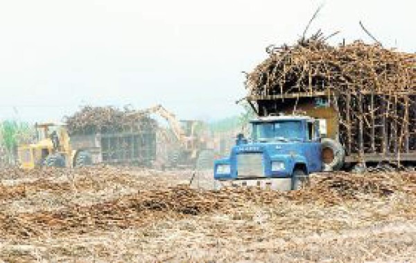 El etanol, un dulce negocio para América Latina