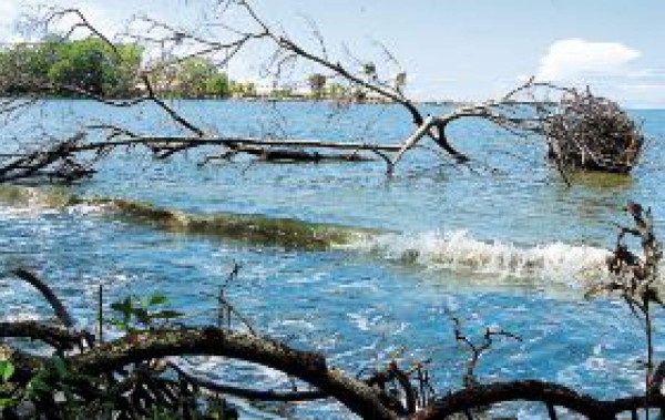 Acusan a Gas del Caribe