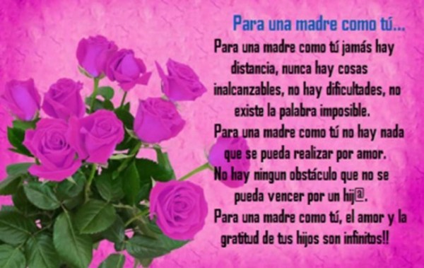 Bellas frases y poemas para Mamá