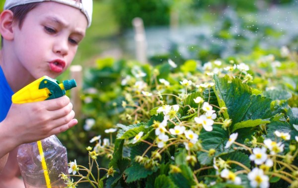 Insecticidas afectan la conducta de los niños