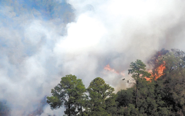 Ríos Chamelecón y Ulúa, los grandes peligros