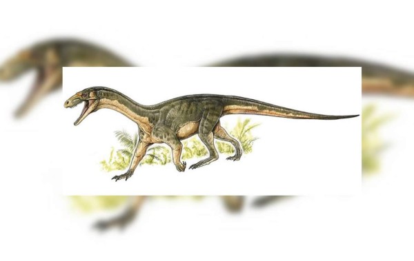 Los primeros parientes de los dinosaurios eran cuadrúpedos, según un estudio