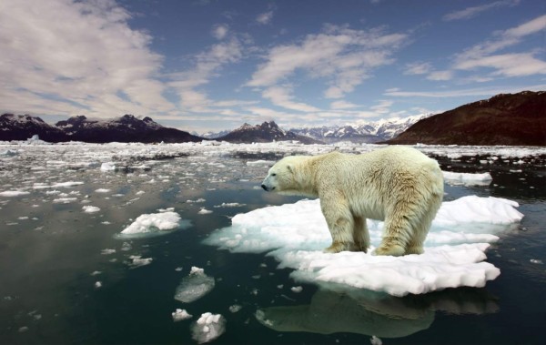 El Ártico registra los 5 años más cálidos en un siglo, según agencia de EEUU