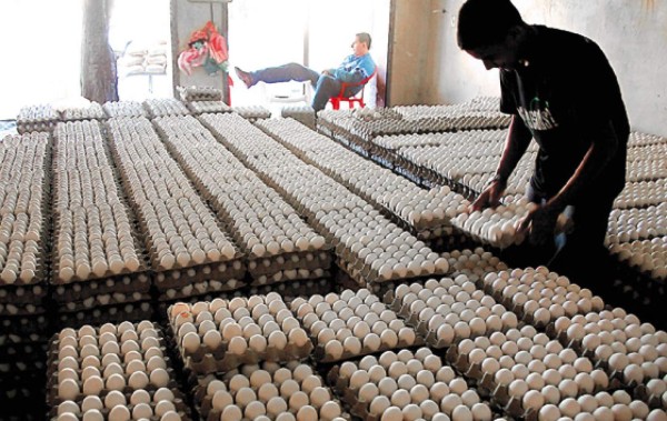 Suben precios a los huevos y al arroz