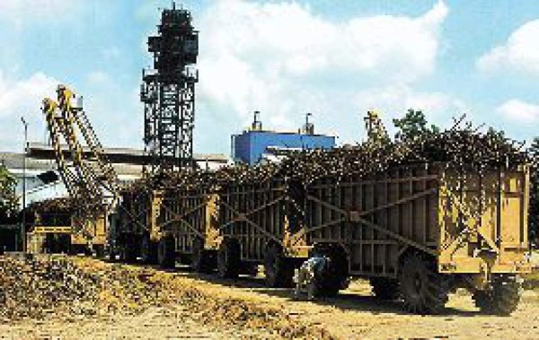 Ingenios invertirán 35 millones de dólares