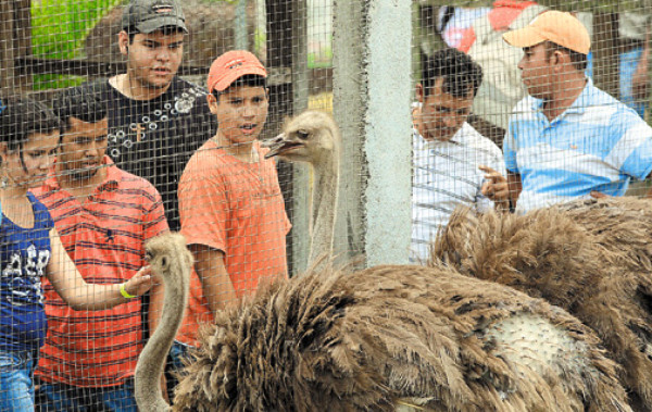 Santa Cruz de Yojoa: naturaleza y diversión