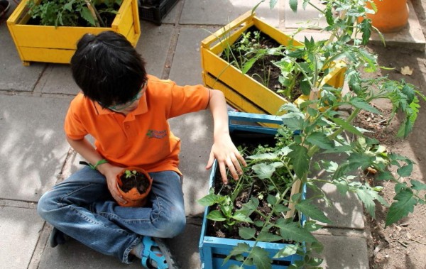Aprenda a crear su huerto en casa