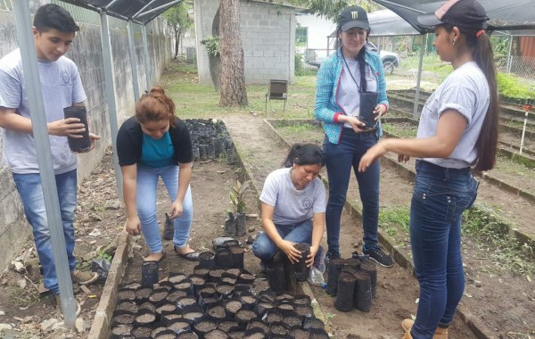 Premiarán iniciativas de protección del medio ambiente