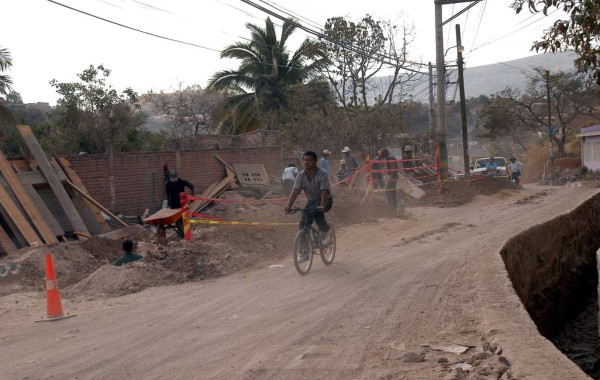 Proponen ley para promover el uso de la bicicleta como medio de transporte