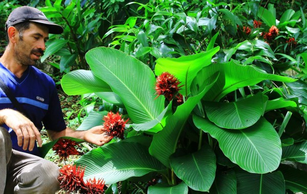 Orquideario, atracción en montañas de Las Vegas, Santa Bárbara