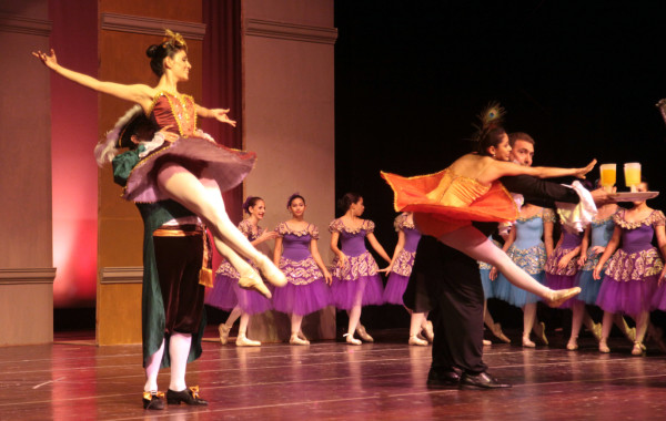 Censea en el mundo de Cenicienta