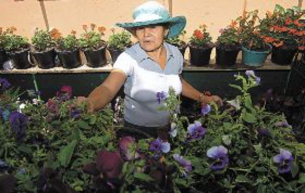 Betulia, amante de las flores