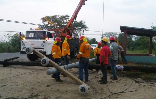 Caída de árbol deja sin energía a Santa Rita y comunidades aledañas
